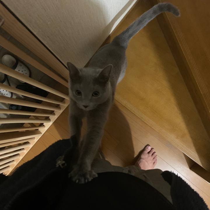 2f982fc1 fc13 45cd b1b0 deae383e3566 1644650763006