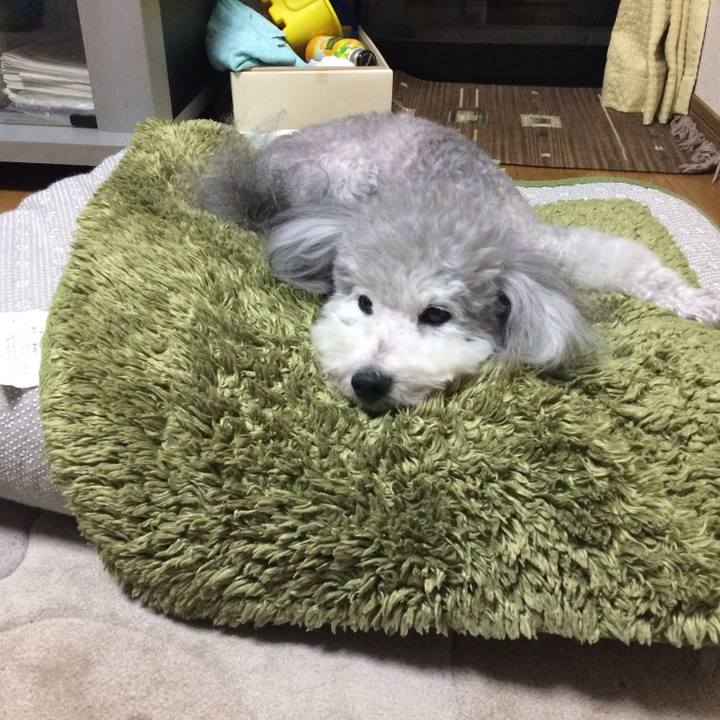 2f9836db fa99 423f a80a 8bff0909a269 1736668384619