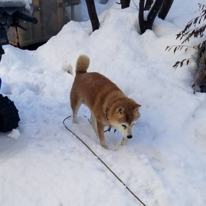 2f985421 b39c 4f6f 861d 90bbbd4a75a8 1737853546261