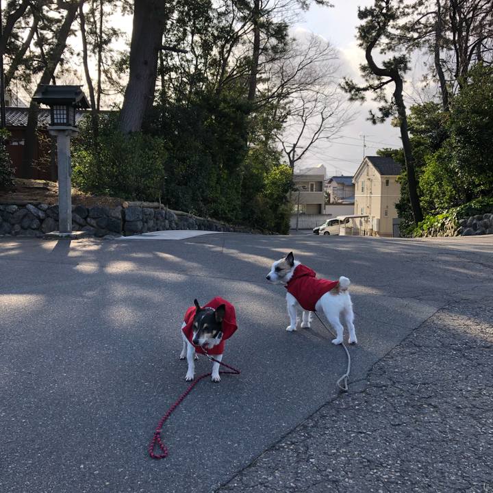 2f988175 a863 44ef ad68 912acb90ee07 1584662328446