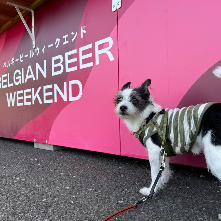 2f9882e4 d99e 440a 970e 68ea52e524a5 1652881404702