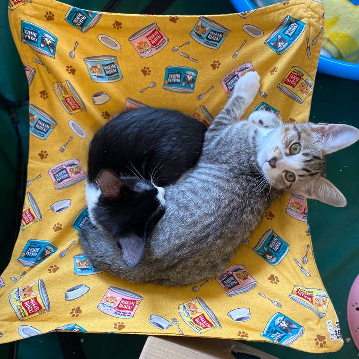 2f98ae0c ad90 4746 801b 6a4ae09571c3 1626939334781