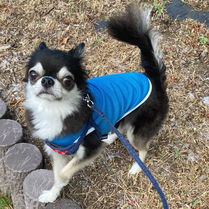 2f991505 d7ae 4d04 8db9 339d69510060 1691854146078