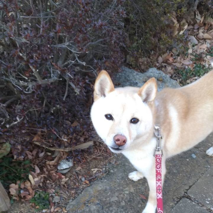 2f9942e2 b4bf 43eb a62c 676c058e29e6 1549275346884