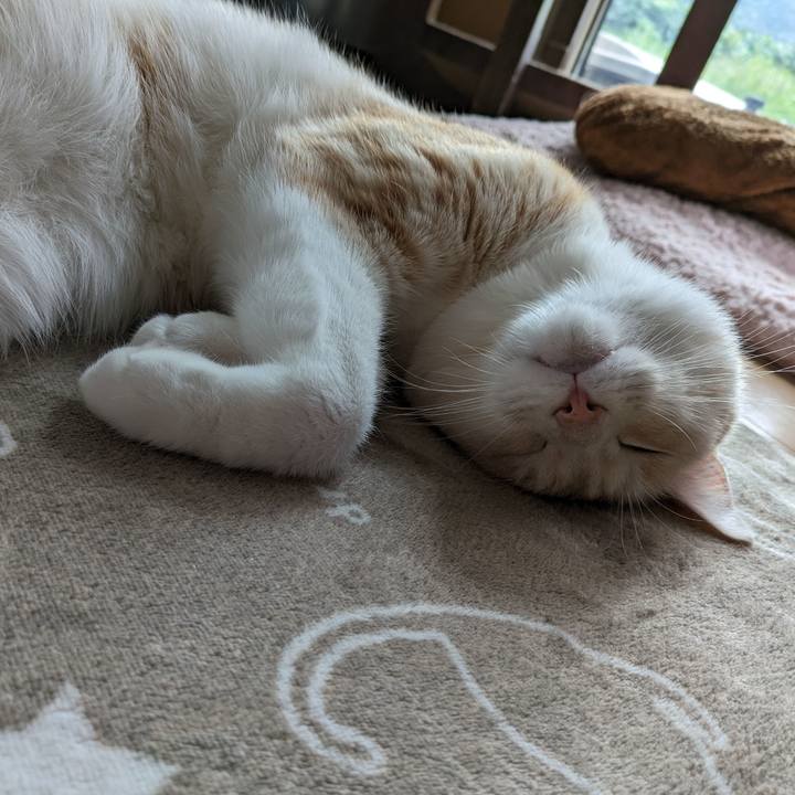 2f995168 c35a 4caa 892c c2f4789b5f6d 1696466179515