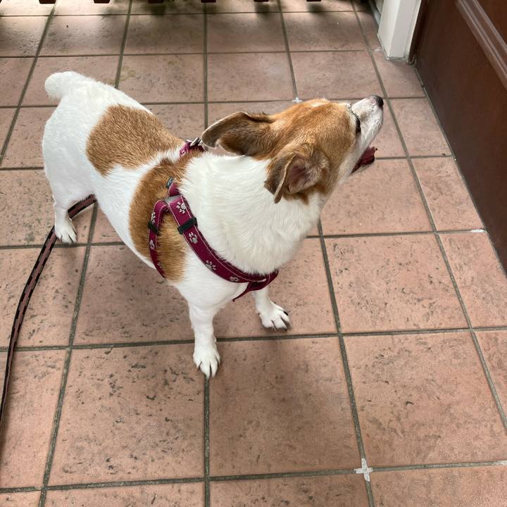 2f9963bd 777e 43da 857e e31e37d66636 1758326801629