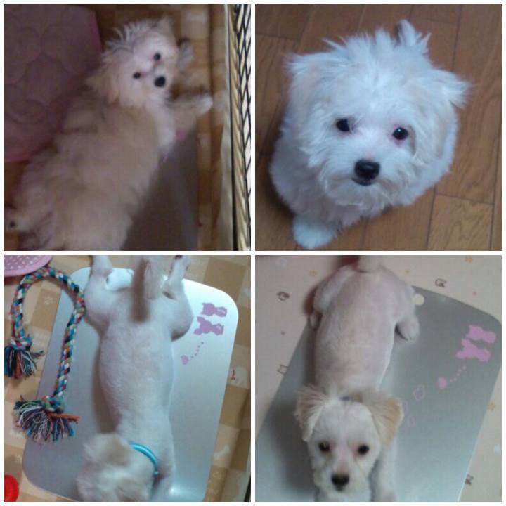 2f9986e6 f7a1 479d 8232 316cb7367e9c 1535633118946