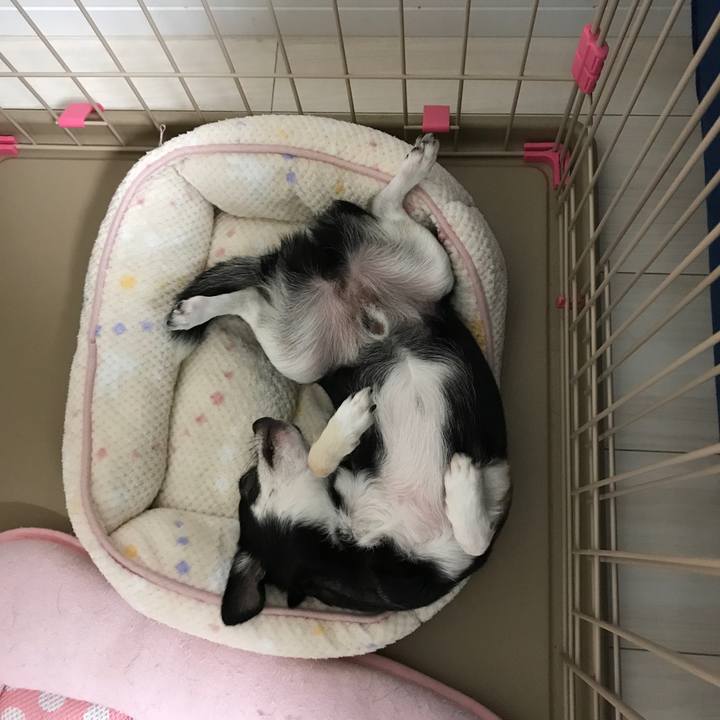 2f99a0a2 4737 461f 97d7 f562d809f6d5 1507866900128