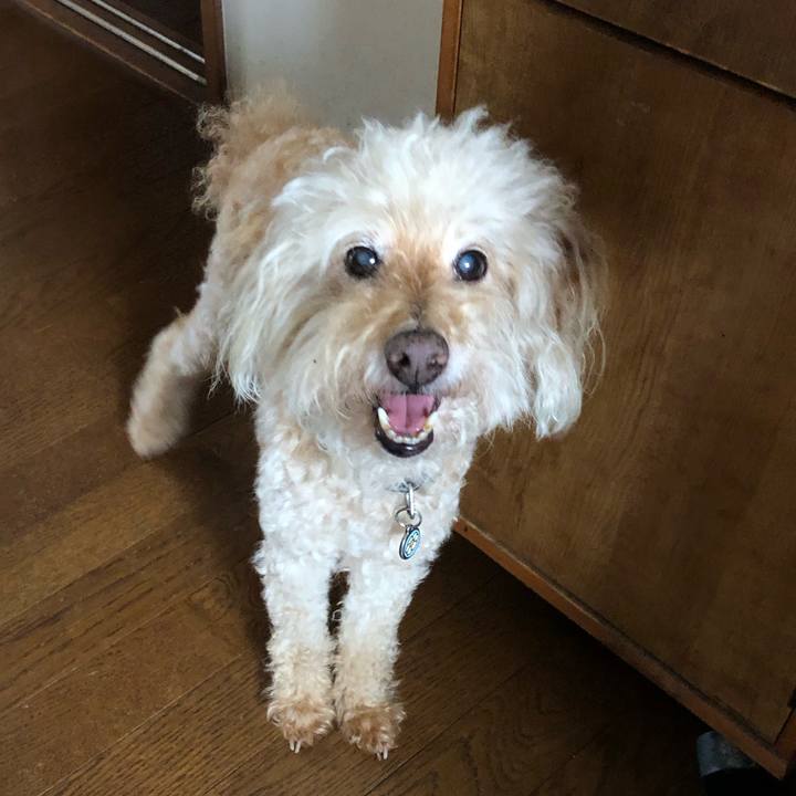 2f99d59e 4498 4484 b03c 991a9a37a134 1688881516046