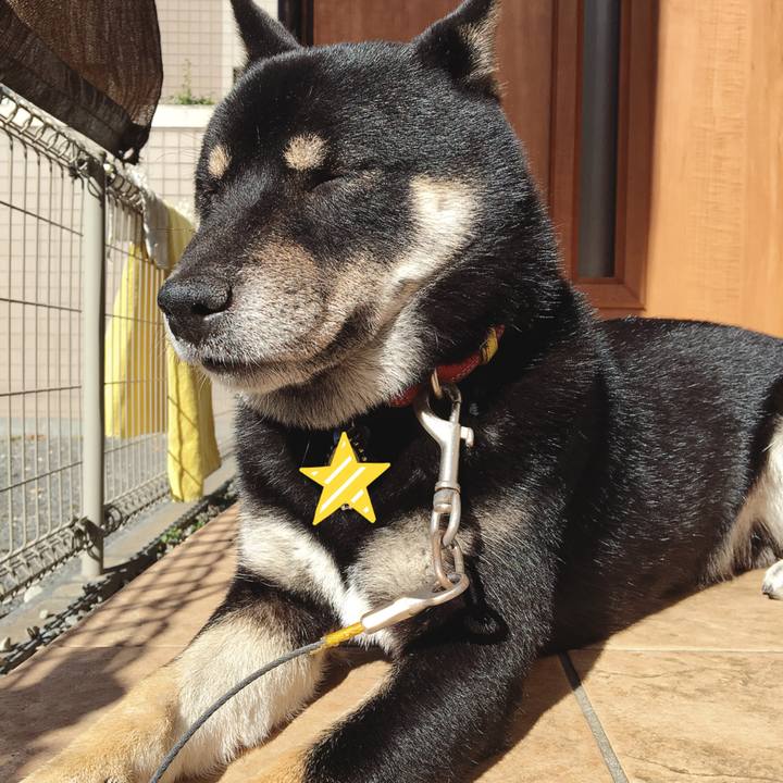 2f99e281 d9cb 4a7a b6cf ba1d16346310 1542944398087