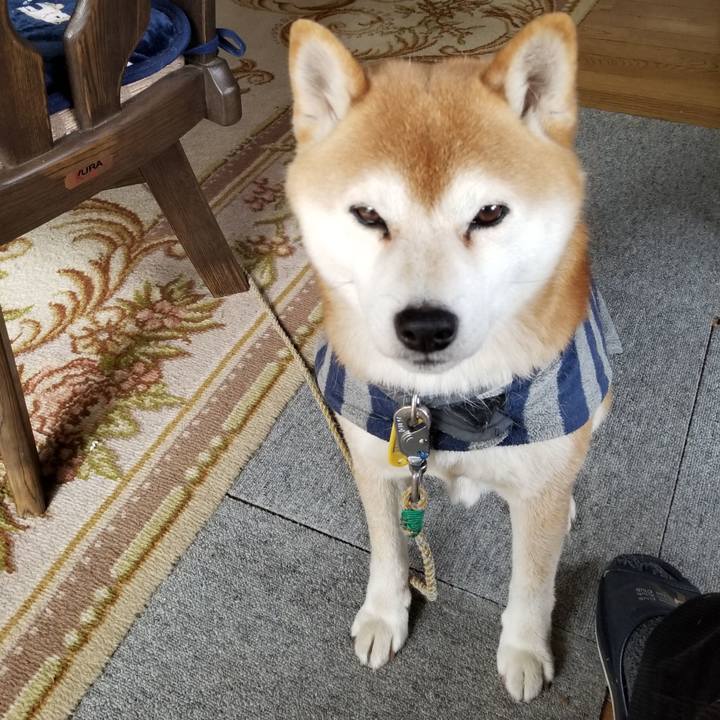 2f99f86e 0933 4c83 9638 cc7185608edd 1581905951259