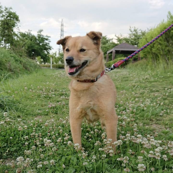 2f99f8f2 d10f 4430 ad29 7b8bbb1e884f 1654092312361