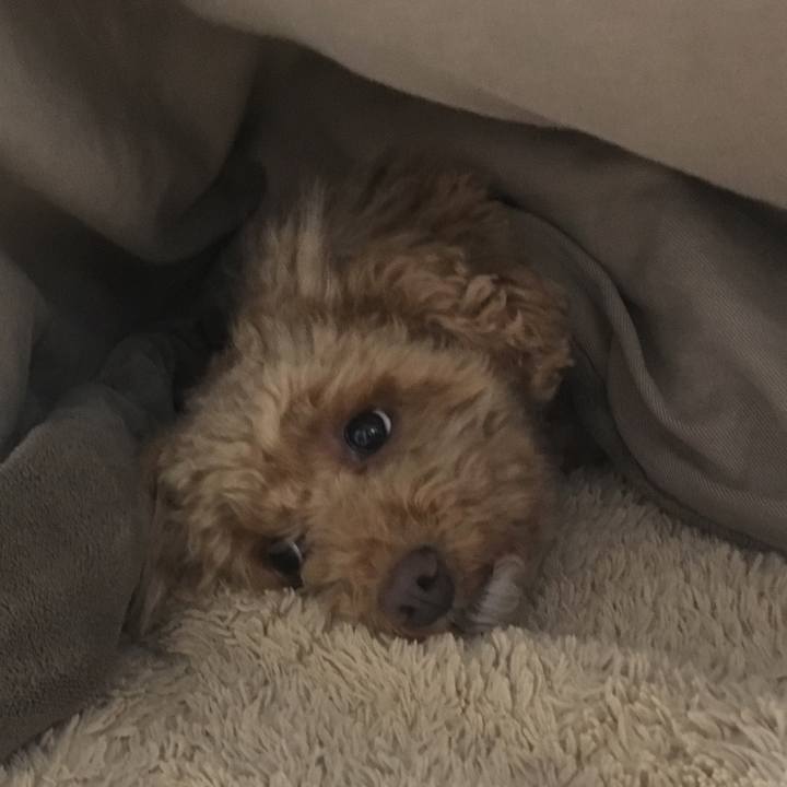 2f9a7109 a125 40fb a074 0637b6a3d83c 1548855104523