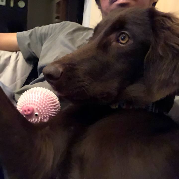 2f9a9cdc 083d 4576 9aa9 68aacb537c45 1563803148165