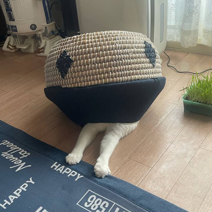 2f9aa5d7 bbfc 4bb5 8baa 1f5d43d8a407 1725772607612