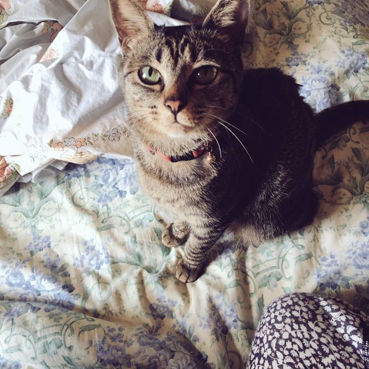 2f9ab1f2 da56 458a aab1 b70eea756afc 1525571041631