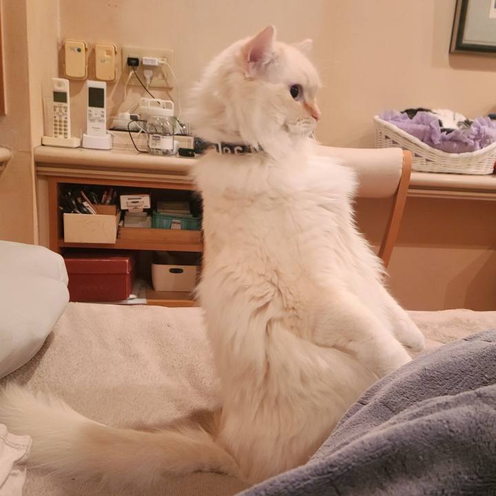 2f9ab7b4 bf32 41af a944 84c86644526c 1676500997129