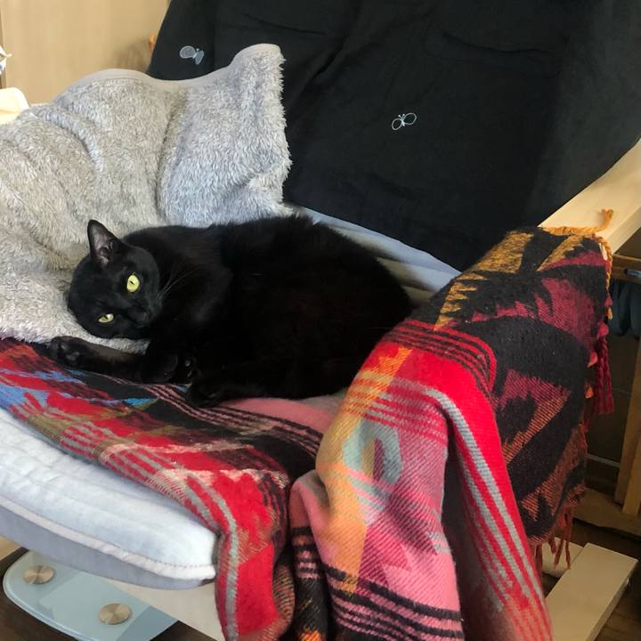 2f9abfd0 9464 4359 ba33 b901a5447f6c 1649592544893