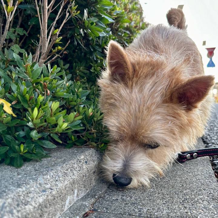 2f9ac888 1808 4b34 a81b 735c76695ccb 1720395874521