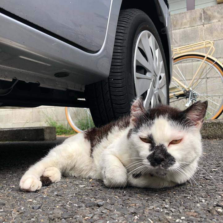 2f9ada82 ac86 4bfd 9475 1a4b05ae5684 1559128705373