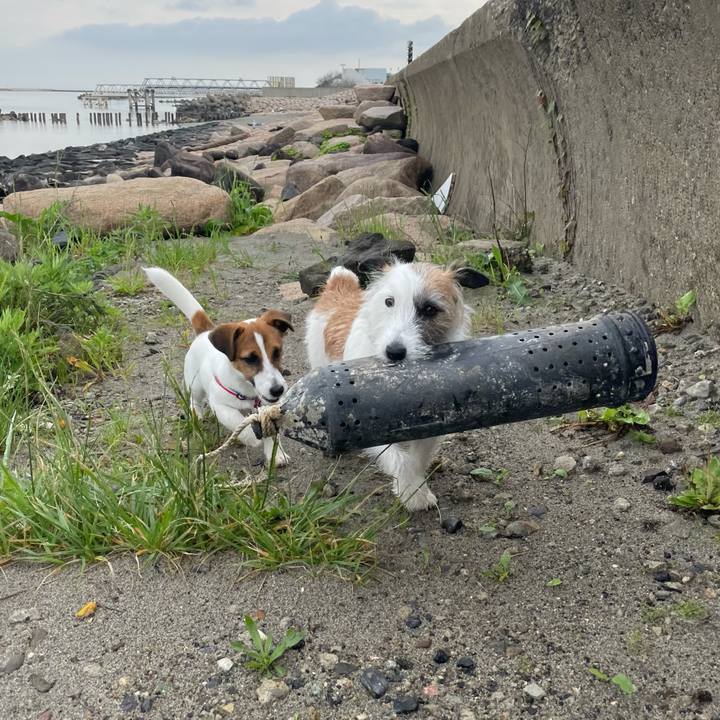 2f9b20a0 63d2 41fa 8018 4f84991a91f4 1621469856066