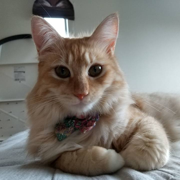 2f9b94f4 32c4 43ac b8d1 d3843c5198a7 1631929391990