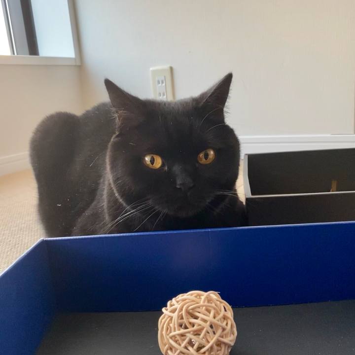 2f9c1f68 be70 47b6 abf3 f3709617f330 1649667182655