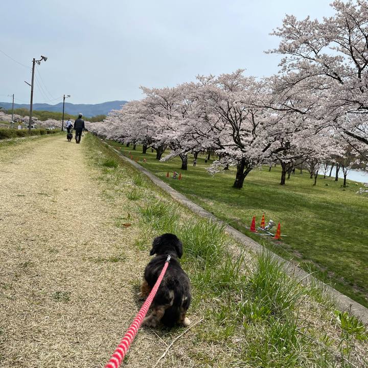 2f9c405c 2282 4abc b3ba 30622ff02b39 1619254636202