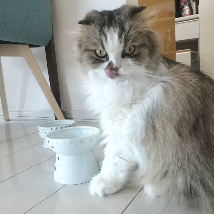 2f9c657b 63da 474e aa01 3e2404e429f2 1776579338668