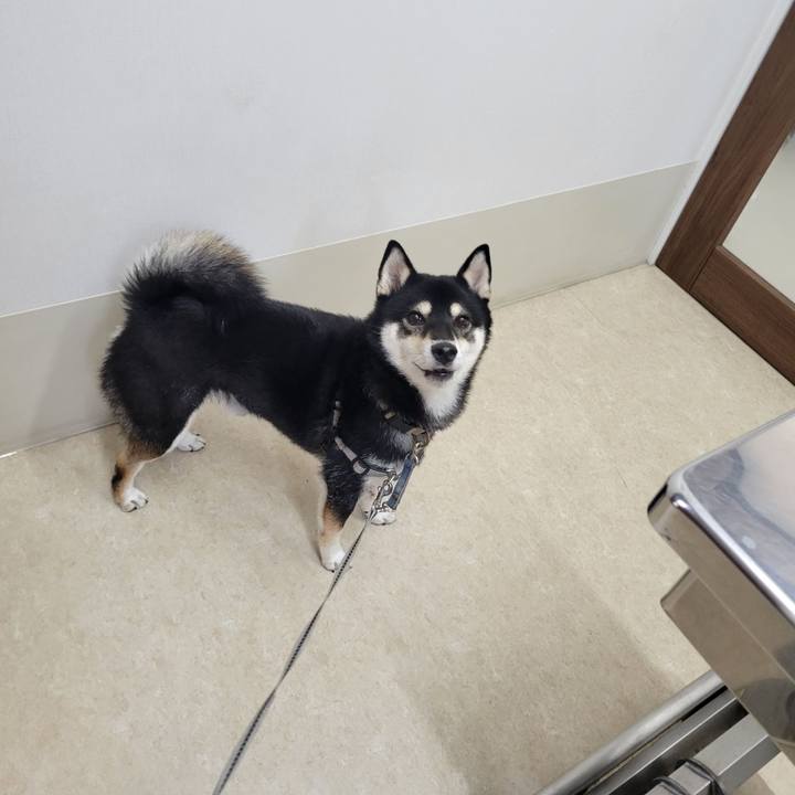 2f9c7284 f6d2 4889 9bb3 14eeb1c0fe1b 1759547931318