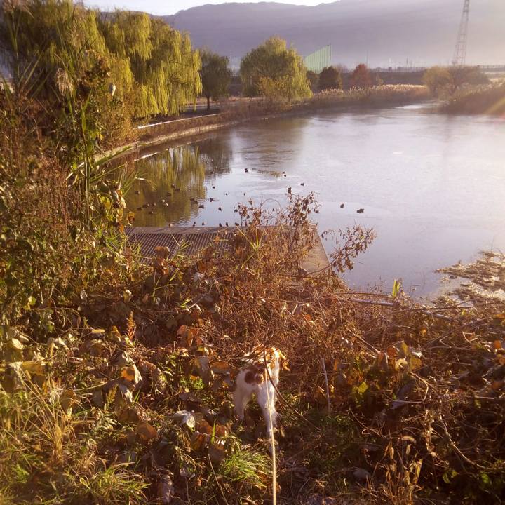 2f9c72c2 a706 4d9c 9b03 2b56f061b35d 1513556505155