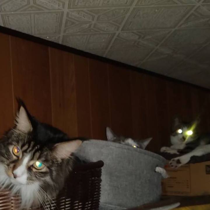 2f9c7f52 b27a 4545 829f e7cb3d58a01b 1765585835833