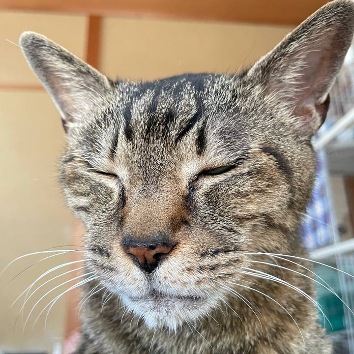 2f9c84d4 13bc 4be6 8fd6 1eb9e69f2cbd 1623808002533