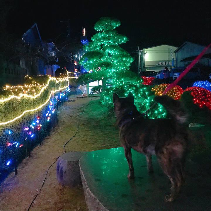 2f9c9164 9ff2 4b1a b251 3f11640831da 1514038066578