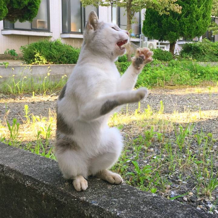 2f9ca955 eac2 4278 b2dd 39eab36eba66 1528203809370