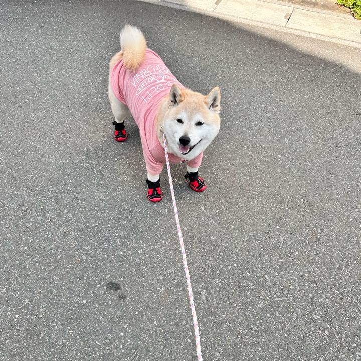 2f9ce4d8 af8a 49dd b423 b7bdef23db8f 1742448357835