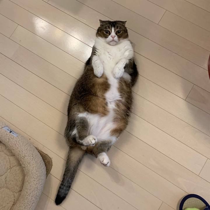 2f9d2e8b dc70 49e2 aa2a 22d4f6604056 1607217440255