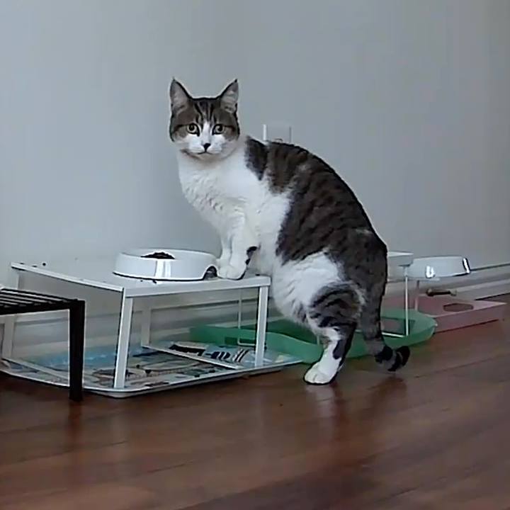 2f9d8466 33da 4280 b3a5 0933efb43d98 1769553093340