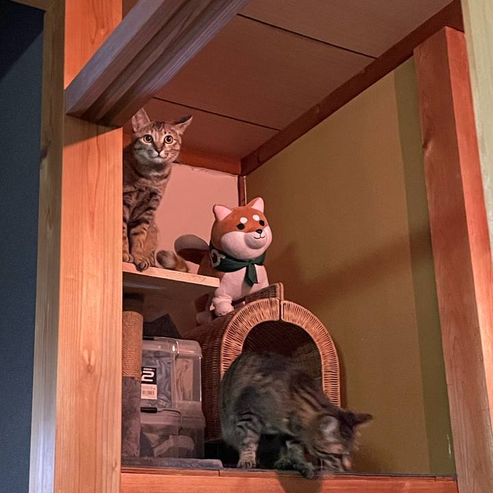 2f9d8636 97f9 469d 87c5 c3f0e5c02b12 1755007341019