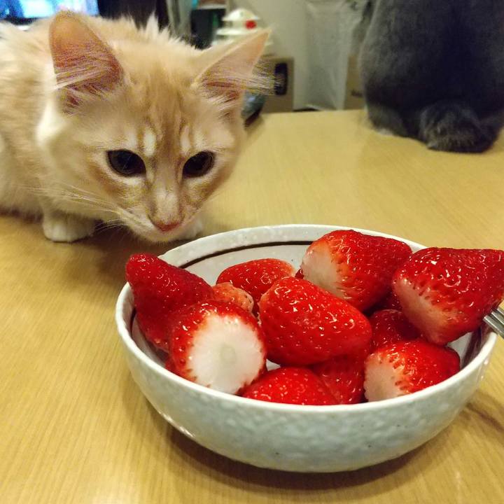 2f9dc4f2 7df0 4573 80f7 41810f1d1c97 1612870379443