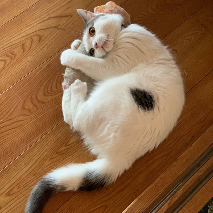 2f9dc641 5654 42e4 9b8b 3c707f28a78b 1723115332525