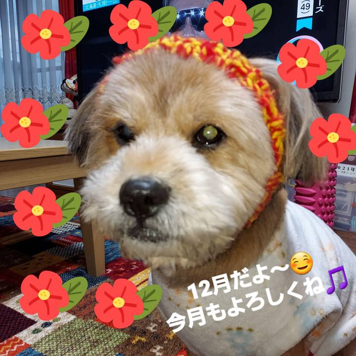 2f9dc9f8 ed48 46c6 8040 066dfdd8d475 1638310806009