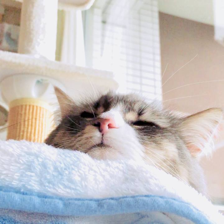 2f9dd32b f3d8 4143 a4a6 f1f794d66db3 1635301052396