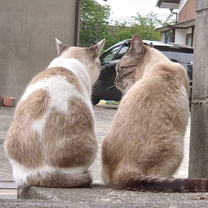 2f9deb65 111e 477f 8aac 3670278ccddb 1622187941548