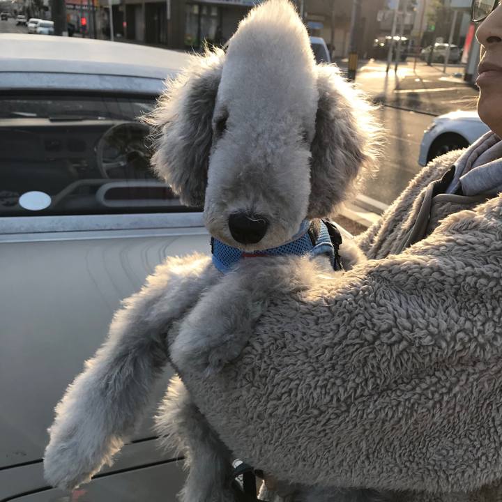 2f9decb9 b013 4a1f 8b9c 36861daa5f09 1579418554398