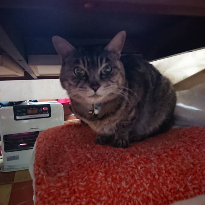 2f9e5025 457b 488d 8777 0845ba4e43e9 1553245210396