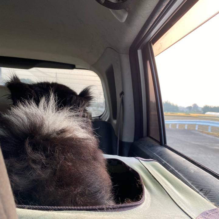 2f9e7aa4 62fd 4225 aaa1 65c6f5dbbe1e 1698357569865