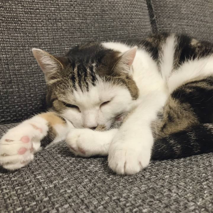 2f9e8d1f 2f9a 4a38 8c9f a98412db6ef3 1567228055839