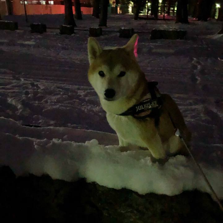 2f9f2a22 c45e 4e1e b53f 1175037e8caa 1577624352195