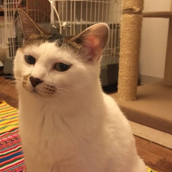 2f9f572e 0f15 41e0 a0e1 2d3b152a8da7 1526919189532